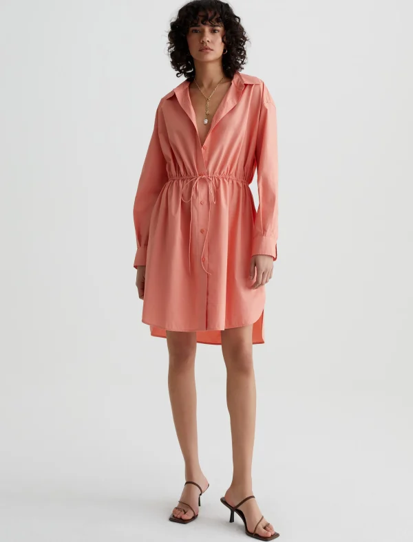 Women AG Jeans Jolie Shirt Dress